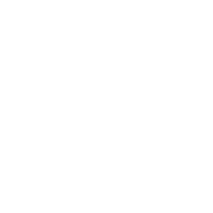 Online Credit Repair